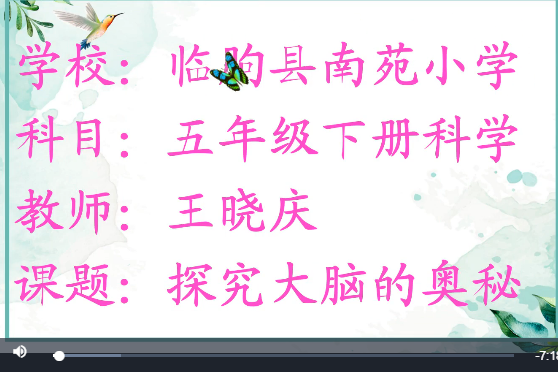 大腦(微課課程) 大腦(微課課程)