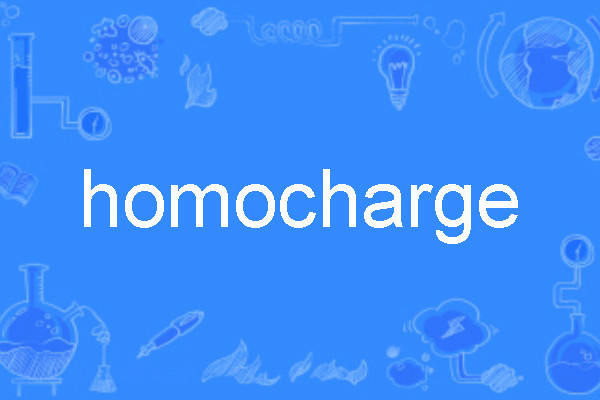 homocharge homocharge
