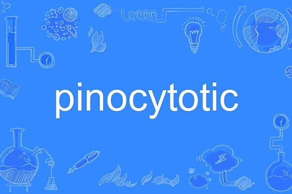 pinocytotic pinocytotic