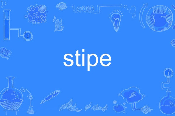 stipe stipe