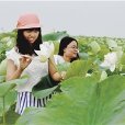十四村 十四村