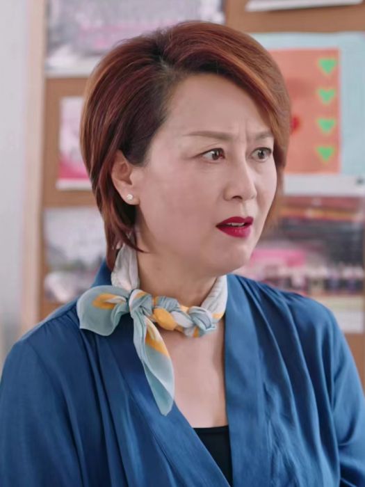 劉美琴(都市家庭劇《上有老下有小》中的角色) 劉美琴(都市家庭劇《上有老下有小》中的角色)