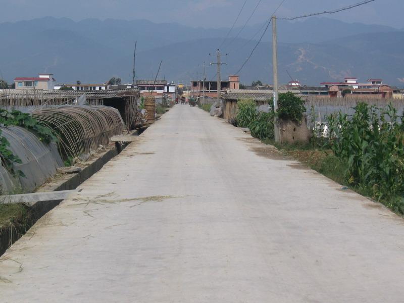 柳上村 柳上村