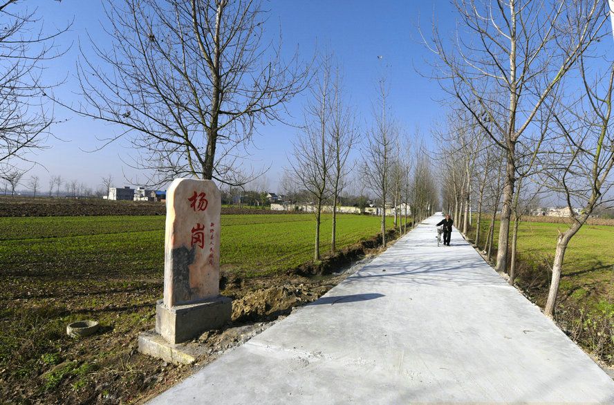 楊崗村(湖北武漢市新洲區三店街道楊崗村) 楊崗村(湖北武漢市新洲區三店街道楊崗村)