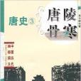 中國歷代通俗演義·唐陵骨寒：唐史3