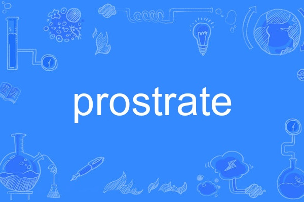 prostrate prostrate