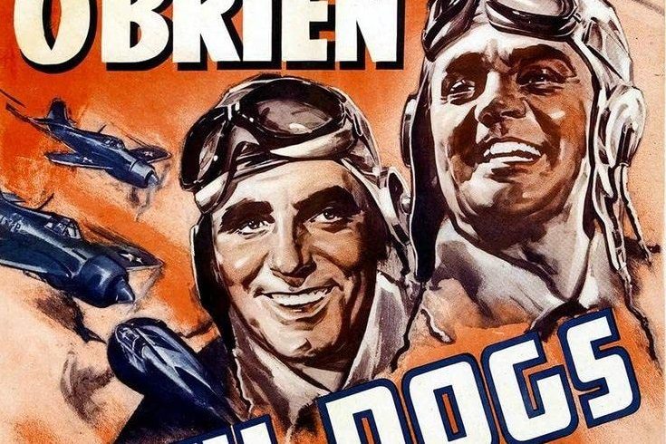 Devil Dogs of the Air Devil Dogs of the Air