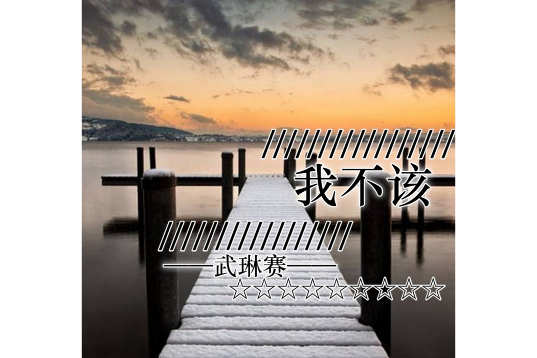 我不該(武琳賽演唱歌曲) 我不該(武琳賽演唱歌曲)