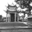 龍頭慘案 龍頭慘案