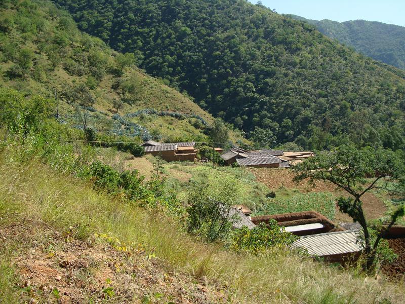 槓香村 槓香村