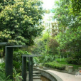 溢陽綠城 溢陽綠城