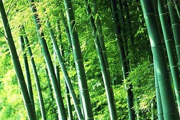 小溪源村