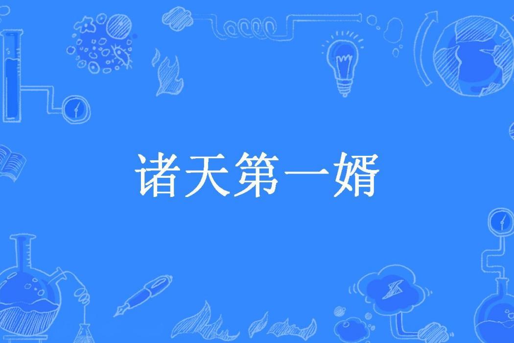 諸天第一婿 諸天第一婿