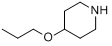 4-丙烯基哌啶