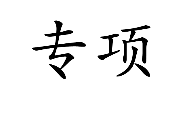 專項 專項