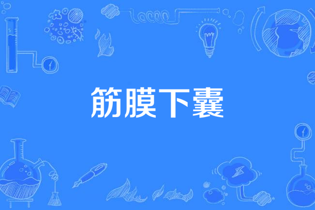 筋膜下囊 筋膜下囊