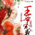 王爺寵妻360回 王爺寵妻360回