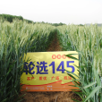 輪選145 輪選145