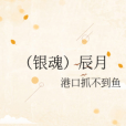 (銀魂)辰月 (銀魂)辰月