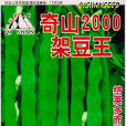 2000架豆王 2000架豆王