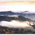 大洋山島 大洋山島