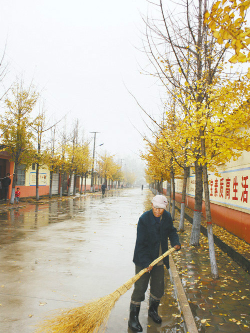西辛集村 西辛集村