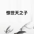 驚世天之子 驚世天之子