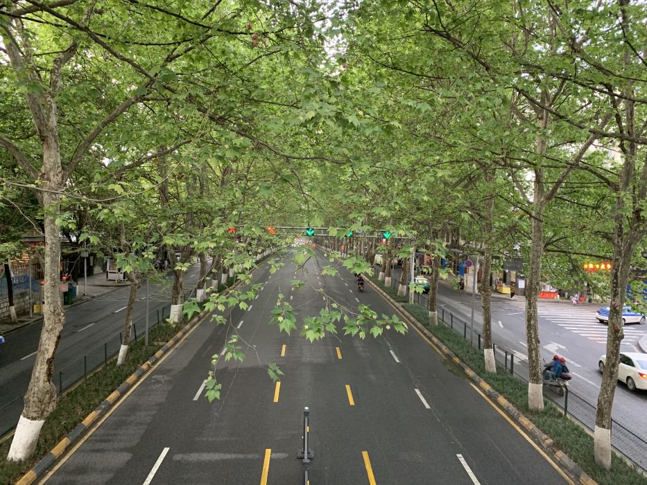 寶山路(貴陽市雲岩區寶山路) 寶山路(貴陽市雲岩區寶山路)