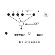 噴泉碼 噴泉碼
