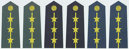 陸海空軍上尉常服肩章(2007—)