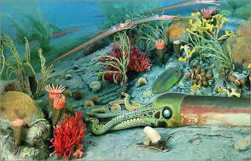奧陶紀的海底