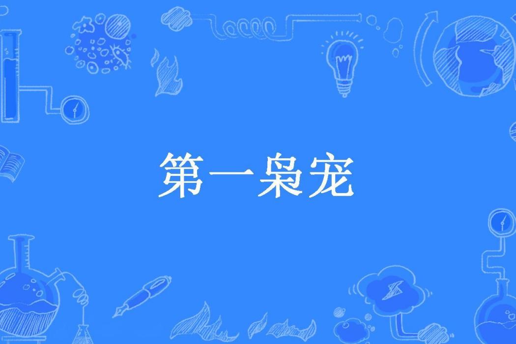 第一梟寵(楚珂所著小說)