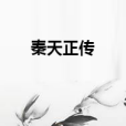 秦天正傳