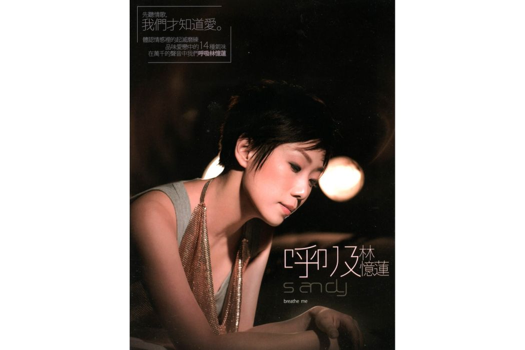 玩伴(林憶蓮《呼吸》專輯中的歌曲)