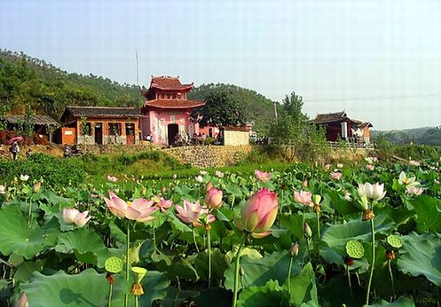 百蓮村(雲南省曲靖市霑益區菱角鄉百蓮村) 百蓮村(雲南省曲靖市霑益區菱角鄉百蓮村)