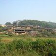 土基沖村(雲南省文山縣德厚鎮下轄村) 土基沖村(雲南省文山縣德厚鎮下轄村)