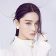 張馨予(中國內地女演員) 張馨予(中國內地女演員)