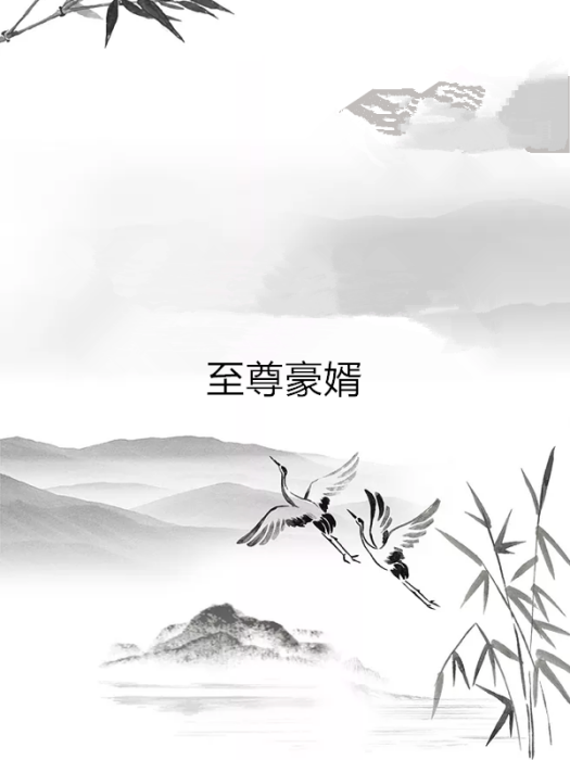 至尊豪婿(非言創作的都市類網路小說) 至尊豪婿(非言創作的都市類網路小說)