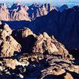 西奈山