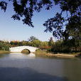 解放公園 解放公園
