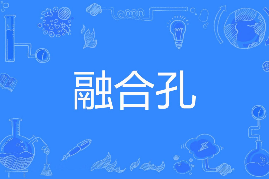 融合孔 融合孔