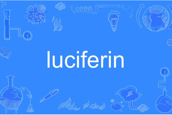 luciferin luciferin