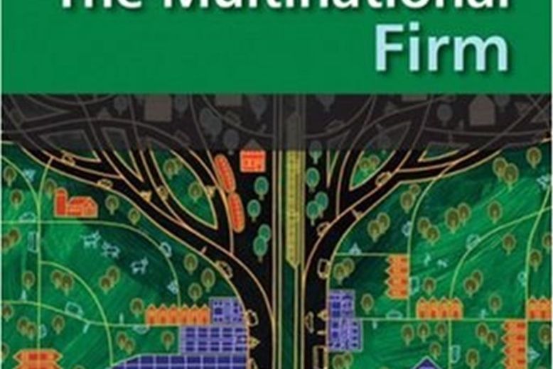 The Multinational Firm The Multinational Firm
