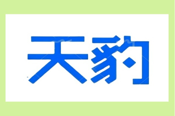 天豹(一個數碼產品品牌)