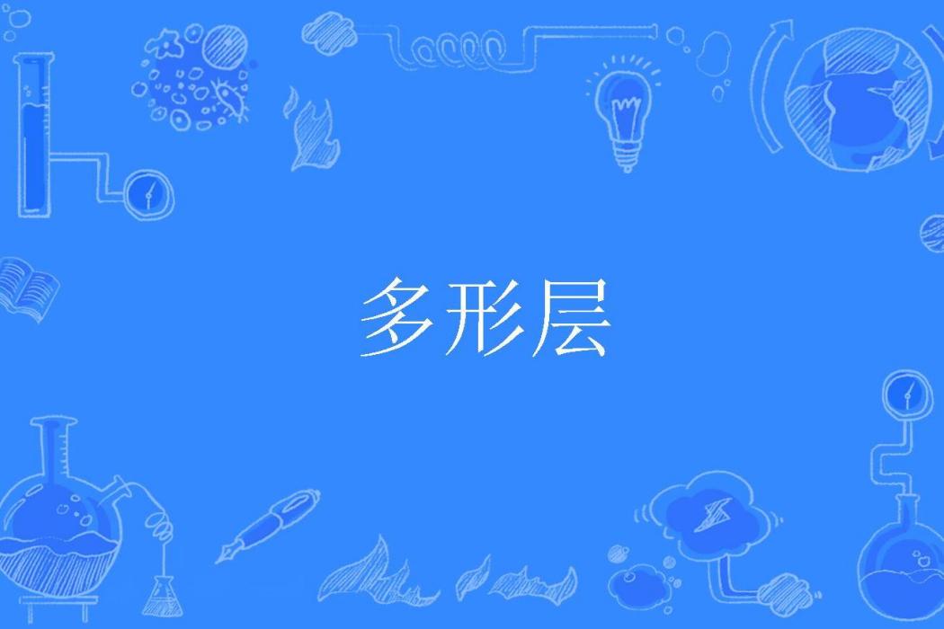 多形層
