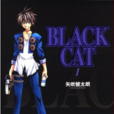 黑貓(black cat)