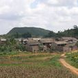 雙塘村(雲南硯山縣平遠鎮下轄村) 雙塘村(雲南硯山縣平遠鎮下轄村)