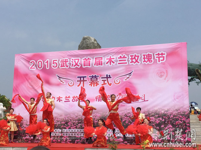 2015武漢木蘭玫瑰園節開幕