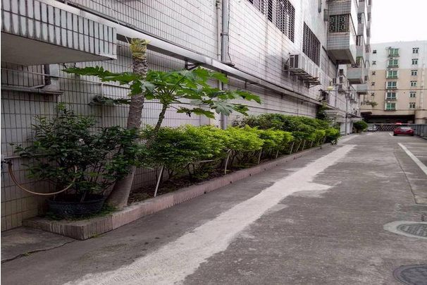 新業樓 新業樓