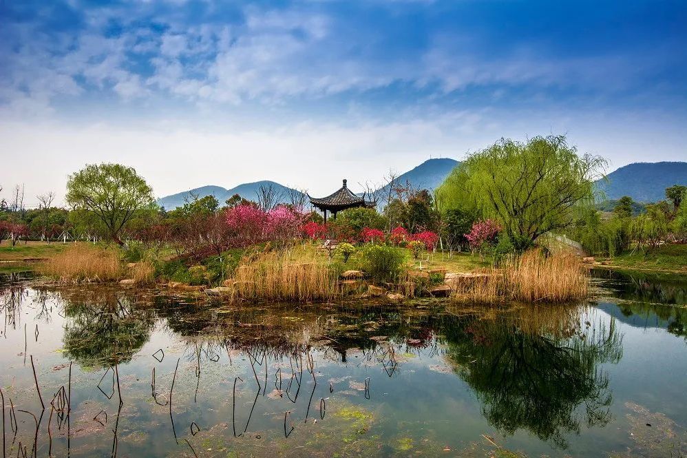 千桃園 千桃園